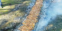 Четвертые сутки пылают мангалы