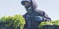 С большим задержанием витаминов