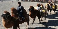 Кредит-Батор
