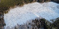 Месторождение бревен