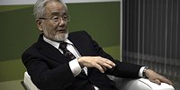 «Я не лечу рак голоданием»