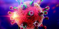 Почему SARS-CoV-2 чаще выбирает мужчин?