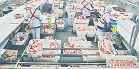 Говядина превращается в деликатес