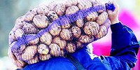 Торг здесь уместен