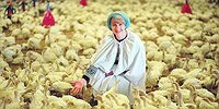 Выйду на улицу, гляну на село: денег навалом, и мне весело