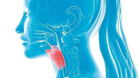 Вредные привычки и рак