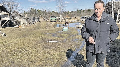 Уборщица пять лет управляла селом