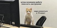Зумер с голоду